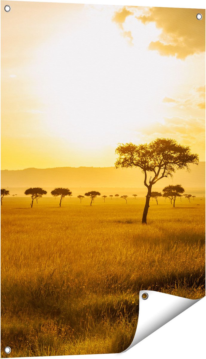 Gards Tuinposter Zonsondergang in de Savanne - 60x90 cm - Tuindoek - Tuindecoratie - Wanddecoratie buiten - Tuinschilderij Multikleur