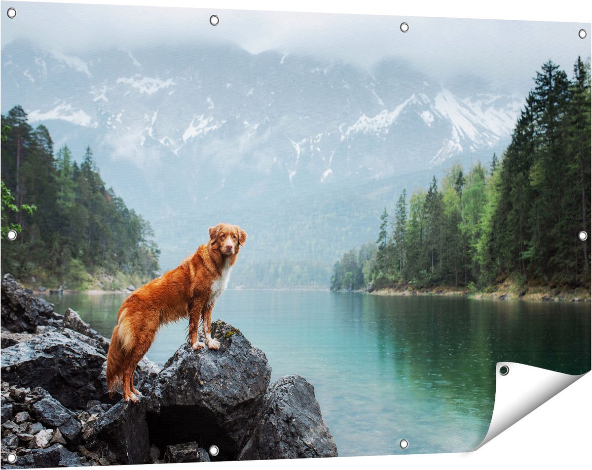 Gards Tuinposter Retriever Hond bij het Water in de Bergen - 120x80 cm - Tuindoek - Tuindecoratie - Wanddecoratie buiten - Tuinschilderij Multikleur