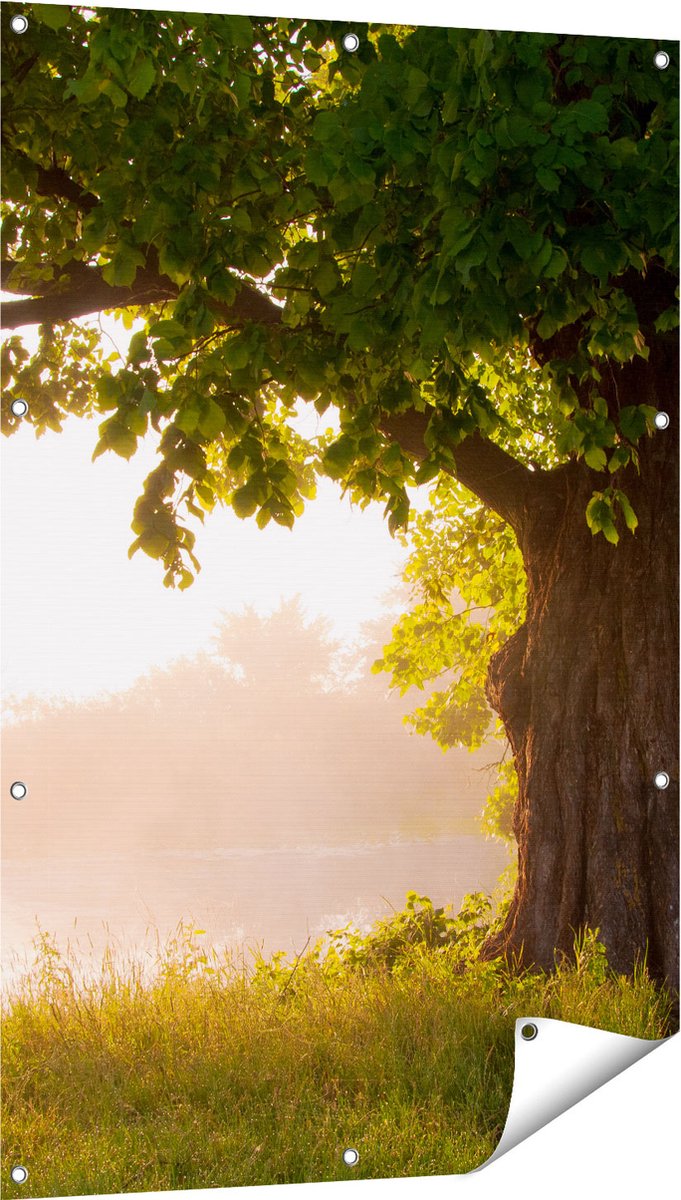 Gards Tuinposter Eikenboom aan het Water met Volle Bladeren - 80x120 cm - Tuindoek - Tuindecoratie - Wanddecoratie buiten - Tuinschilderij Multikleur