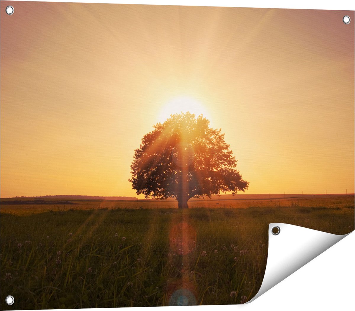 Gards Tuinposter Zonsondergang Achter een Grote Boom - 80x60 cm - Tuindoek - Tuindecoratie - Wanddecoratie buiten - Tuinschilderij Multikleur