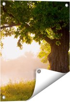 Gards Tuinposter Eikenboom aan het Water met Volle Bladeren - 40x50 cm - Tuindoek - Tuindecoratie - Wanddecoratie buiten - Tuinschilderij