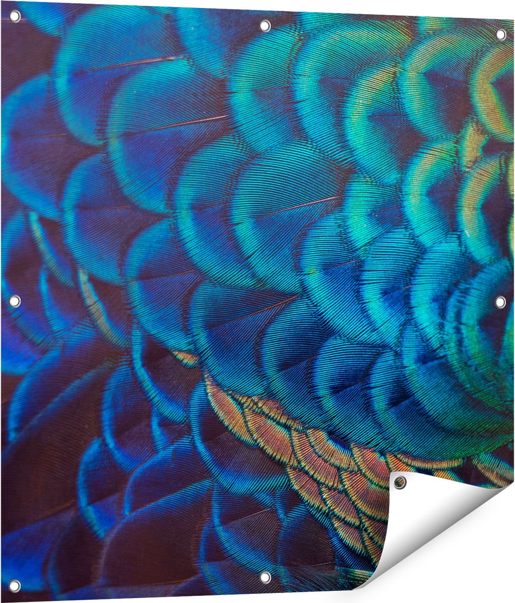 Gards Tuinposter Kleurrijke Pauw Veren van Dichtbij - 80x80 cm - Tuindoek - Tuindecoratie - Wanddecoratie buiten - Tuinschilderij Multikleur