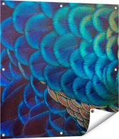 Gards Tuinposter Kleurrijke Pauw Veren van Dichtbij - 80x80 cm - Tuindoek - Tuindecoratie - Wanddecoratie buiten - Tuinschilderij