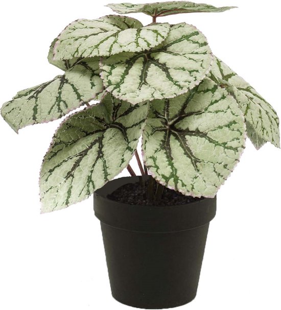 Emerald - Kunstplant in pot Begonia grijs 25cm - Kunstplanten voor binnen