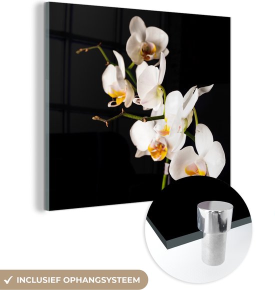 MuchoWow® Glasschilderij 20x20 cm - Schilderij acrylglas - Orchidee - Bloemen - Planten - Botanisch - Foto op glas - Schilderijen