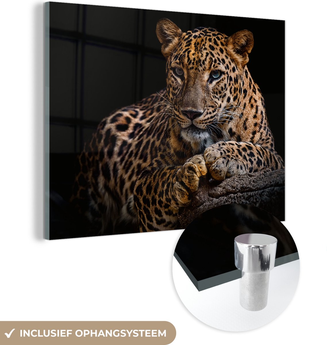 Glasschilderij luipaard - Boomstam - Dieren - Portret - Wanddecoratie - Woonkamer - 120x90