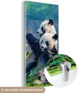 MuchoWow - Glasschilderij - Acrylglas - Panda - Bamboe - Natuur - Muurdecoratie - Schilderij glas - 60x120 cm - Wanddecoratie - Foto op glas