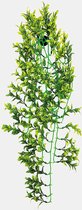 Repto Plant Green Yellow 70cm- Kunstplant Terrarium