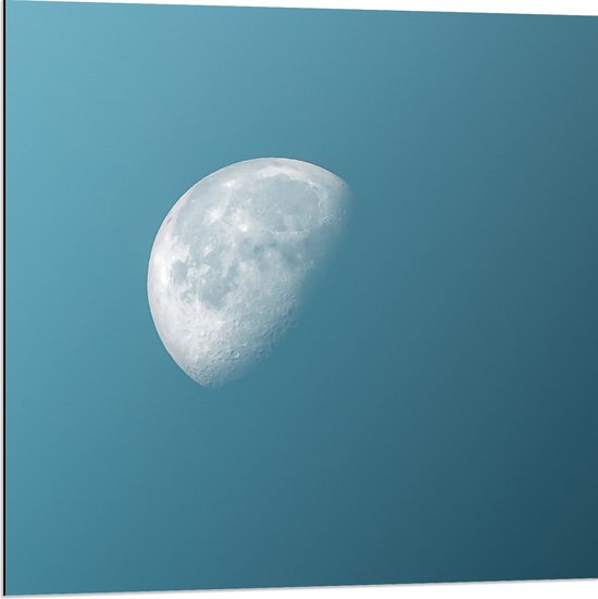 Dibond - Maan in Daglicht in de Lucht - 80x80 cm Foto op Aluminium (Met Ophangsysteem)