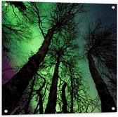 Tuinposter – Noorderlicht Boven Hoge Smalle Kale Bomen - 80x80 cm Foto op Tuinposter (wanddecoratie voor buiten en binnen)