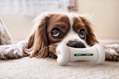 Wickedbone Smart Chiens Bone Phone App Control Pet Interaction émotionnelle Bone Pet Émotions Jouets pour Chiens