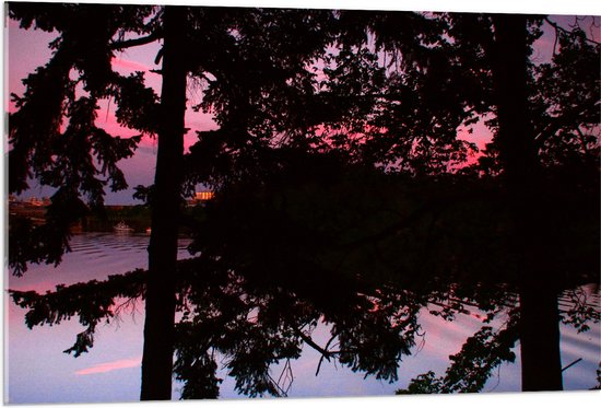 Acrylglas - Silhouet van Bladeren aan Bomen bij Groot Meer tijdens Rozekleurige Zonsondergang - 105x70 cm Foto op Acrylglas (Met Ophangsysteem)