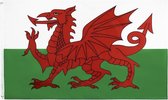 VlagDirect - Welshe vlag- Wales vlag - 90 x 150 cm.