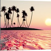 Dibond - Silhouet van Palmbomen op Onbewoond Eiland in de Oceaan bij Zonsondergang - 80x80 cm Foto op Aluminium (Wanddecoratie van metaal)