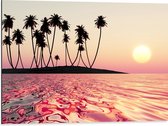 Dibond - Silhouet van Palmbomen op Onbewoond Eiland in de Oceaan bij Zonsondergang - 80x60 cm Foto op Aluminium (Wanddecoratie van metaal)