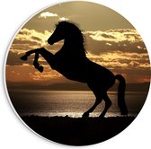 PVC Schuimplaat Muurcirkel - Silhouet van Stijgend Paard aan de Kust tijdens Zonsondergang - 20x20 cm Foto op Muurcirkel (met ophangsysteem)