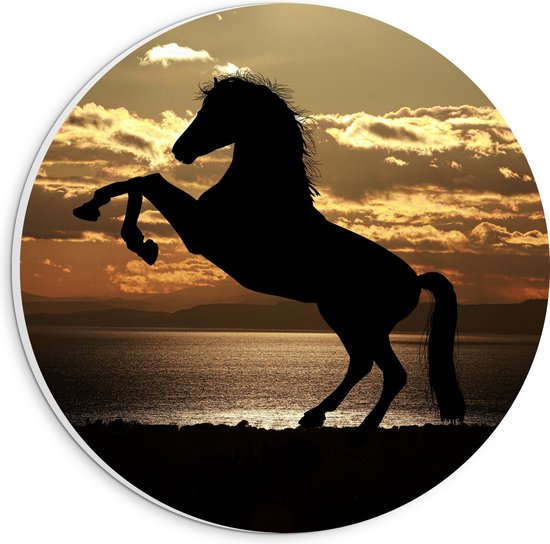 PVC Schuimplaat Muurcirkel - Silhouet van Stijgend Paard aan de Kust tijdens Zonsondergang - 20x20 cm Foto op Muurcirkel (met ophangsysteem)