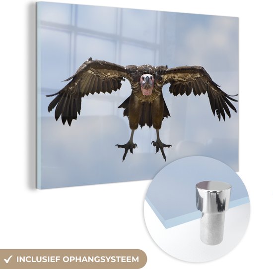 MuchoWow® Glasschilderij 30x20 cm - Schilderij acrylglas - Een vliegende, bruine gier - Foto op glas - Schilderijen