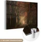 MuchoWow® Glasschilderij 30x20 cm - Schilderij acrylglas - Bospad - Herfst - Bos - Bomen en planten - Natuur - Foto op glas - Schilderijen