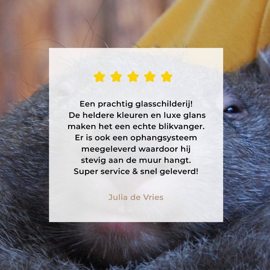 MuchoWow® Peinture sur verre 120x80 cm - Peinture sur verre acrylique - Gros plan wombat endormi - Photo sur verre - Peintures