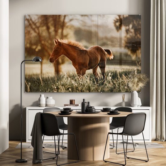 MuchoWow® Peinture sur verre 150x100 cm - Peinture sur verre acrylique - Cheval - Lumière - Prairie - Photo sur verre - Peintures