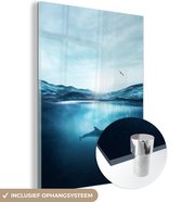 MuchoWow® Glasschilderij 60x80 cm - Schilderij acrylglas - Dolfijn - Zee - Vogel - Foto op glas - Schilderijen