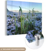 MuchoWow® Glasschilderij 40x30 cm - Schilderij acrylglas - Sneeuwklokjes tijdens de winter op een veld - Foto op glas - Schilderijen