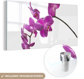 MuchoWow® Glasschilderij 120x60 cm - Schilderij acrylglas - Orchidee tegen witte achtergrond - Foto op glas - Schilderijen