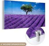 MuchoWow® Glasschilderij 160x80 cm - Schilderij acrylglas - Een close-up van een lavendelveld - Foto op glas - Schilderijen
