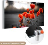 MuchoWow® Glasschilderij 40x20 cm - Schilderij acrylglas - Rode Klaprozen tegen zwarte met witte achtergrond - Foto op glas - Schilderijen