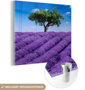 MuchoWow® Glasschilderij 50x50 cm - Schilderij acrylglas - Een close-up van een lavendelveld - Foto op glas - Schilderijen