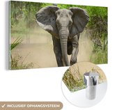 MuchoWow® Glasschilderij 120x60 cm - Schilderij acrylglas - Rennende olifant - Foto op glas - Schilderijen