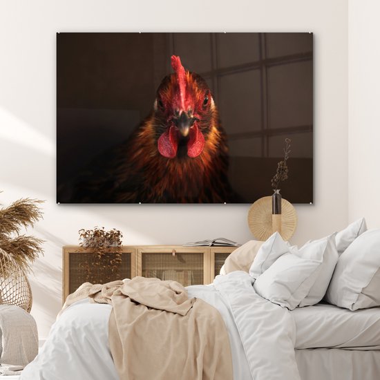Tête de coq de près Plexiglas 180x120 cm - Tirage photo sur verre (décoration murale plexiglas) XXL / Grand format!