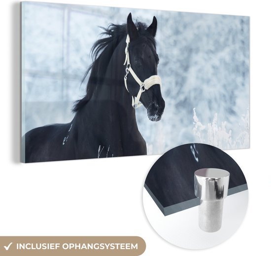 Glasschilderij - Paard - Sneeuw - Winter - Acrylglas Schilderijen - Foto op Glas
