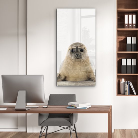 MuchoWow® Peinture sur Verre - Phoque - Animaux - Enfant - Garçons - Filles - Enfants - 60x120 cm - Peintures sur Verre Peintures - Photo sur Glas