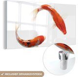 Peinture sur Verre - Carpes Koi - 40x20 cm - Peintures sur Verre Peintures - Photo sur Glas