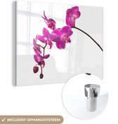 MuchoWow® Glasschilderij 80x60 cm - Schilderij acrylglas - Orchidee tegen witte achtergrond - Foto op glas - Schilderijen