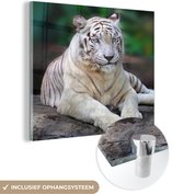 MuchoWow® Glasschilderij 90x90 cm - Schilderij acrylglas - Witte tijger - Boomstam - Bos - Foto op glas - Schilderijen