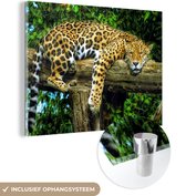 MuchoWow® Glasschilderij 40x30 cm - Schilderij acrylglas - Jaguar - Boom - Regenwoud - Foto op glas - Schilderijen