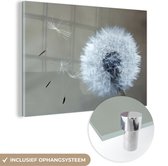 MuchoWow® Glasschilderij 150x100 cm - Schilderij acrylglas - Paardenbloem - Bloem - Plant - Foto op glas - Schilderijen
