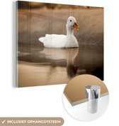 Glasschilderij - Foto op glas - Eend - Vogel - Water - Wit - Woonkamer - 80x60 cm - Acrylglas - Glasschilderij dieren - Muurdecoratie glas - Schilderij glas - Glasschilderij vogels