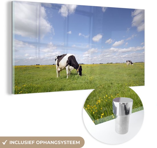 MuchoWow® Glasschilderij 80x40 cm - Schilderij acrylglas - Grazende koeien in een weiland - Foto op glas - Schilderijen