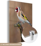 Peinture sur verre - Gros plan d'un chardonneret coloré sur une branche fine - 30x40 cm - Peintures sur Verre Peintures - Photo sur Glas