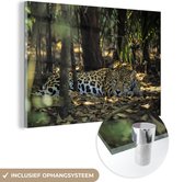Glasschilderij dieren - Jaguar - Natuur - Bos - Schilderijen woonkamer - Foto op glas - Glasplaat - Kamer decoratie - 180x120 cm - Wanddecoratie - Muurdecoratie - Slaapkamer - Schilderij glas