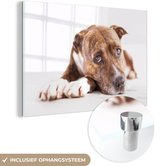 MuchoWow® Glasschilderij 180x120 cm - Schilderij acrylglas - Liggende hond fotoprint - Foto op glas - Schilderijen