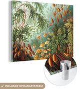 MuchoWow® Glasschilderij 120x90 cm - Schilderij acrylglas - Oude meesters - Kunst - Muscinae - Haeckel - Foto op glas - Schilderijen