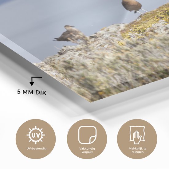 Vogels dans le parc national de la Terre de Feu avec des montagnes enneigées en arrière-plan Plexiglas 120x80 cm - Tirage photo sur Glas (décoration murale en plexiglas)