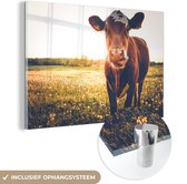 MuchoWow® Glasschilderij 60x40 cm - Schilderij acrylglas - Koe - Dier - Zon - Bruin - Foto op glas - Schilderijen