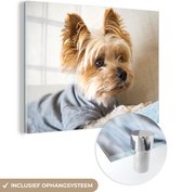 MuchoWow® Glasschilderij 80x60 cm - Schilderij acrylglas - Yorkshire Terrier met een truitje aan - Foto op glas - Schilderijen