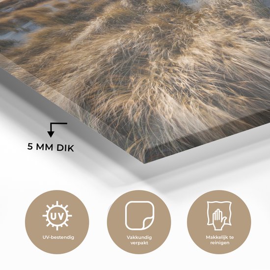 Peintures sur verre - Plage - Mer - Scheveningen - Nederland - 120x80 cm - Peintures Plexiglas